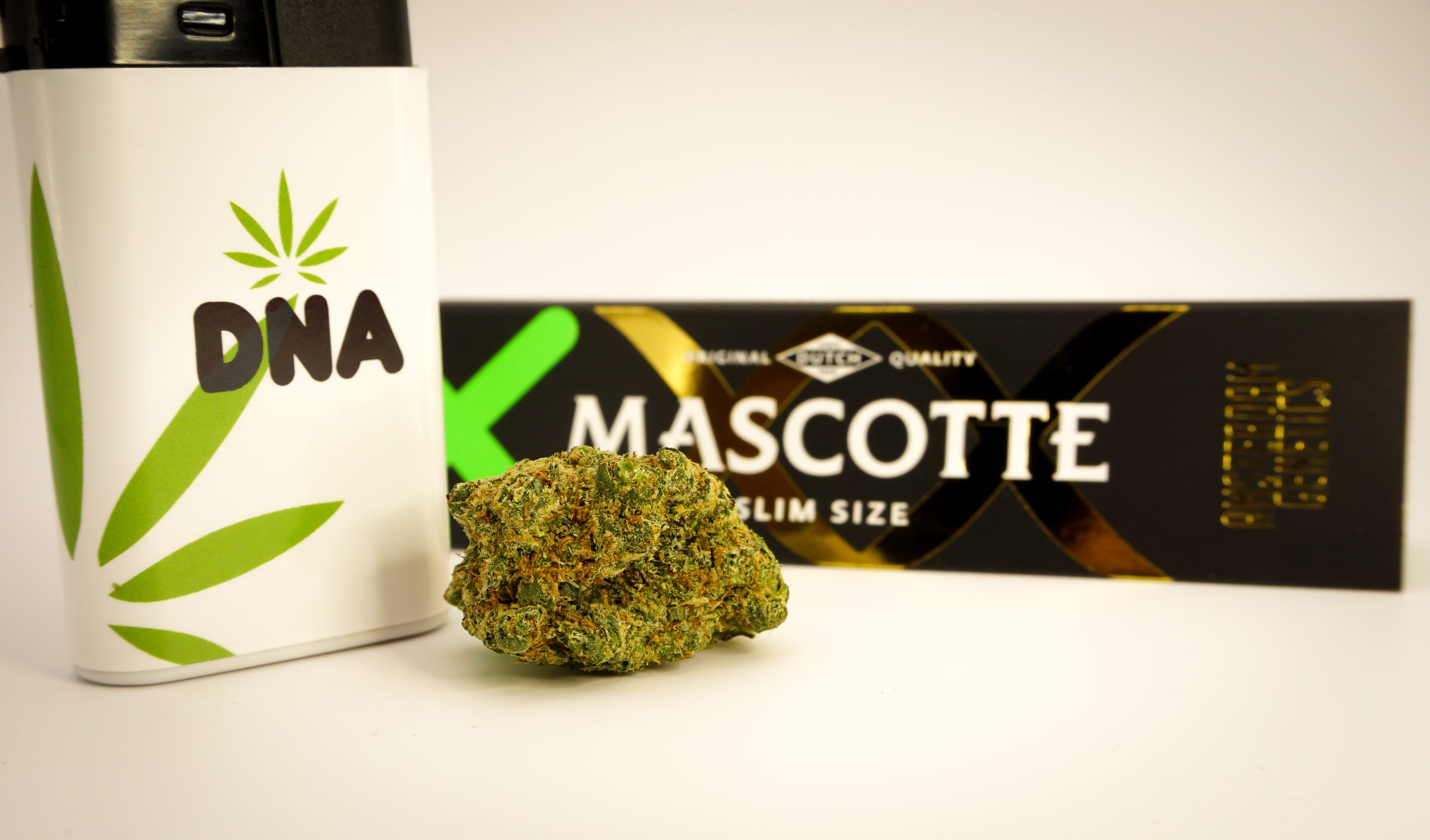 lemon haze bud coffee shop dna mascot papers
