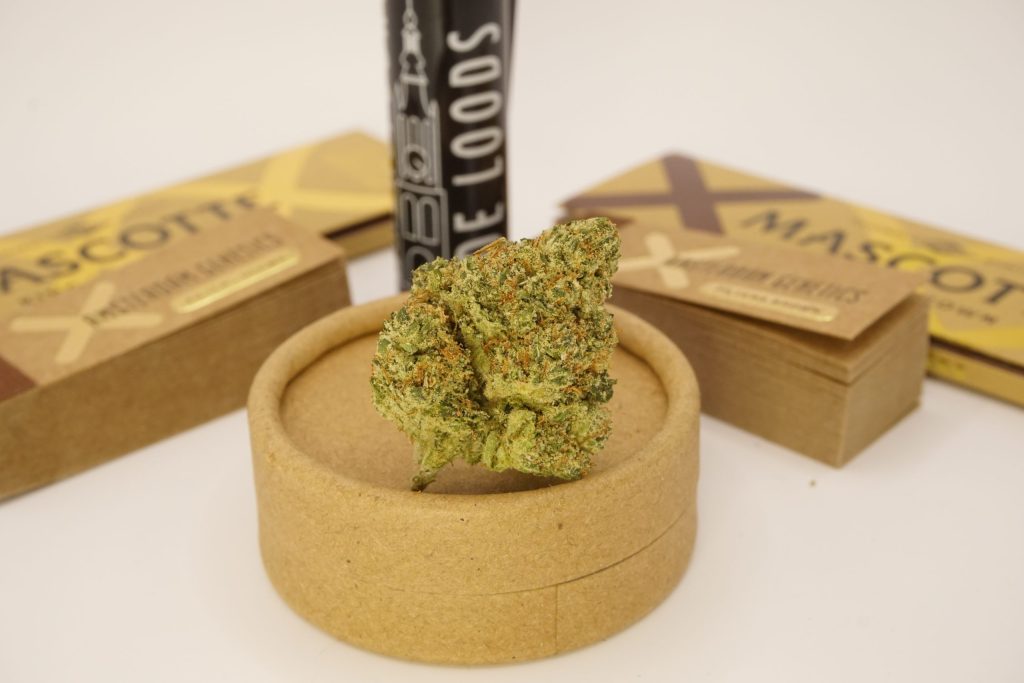 Kosher tangie kush strain review