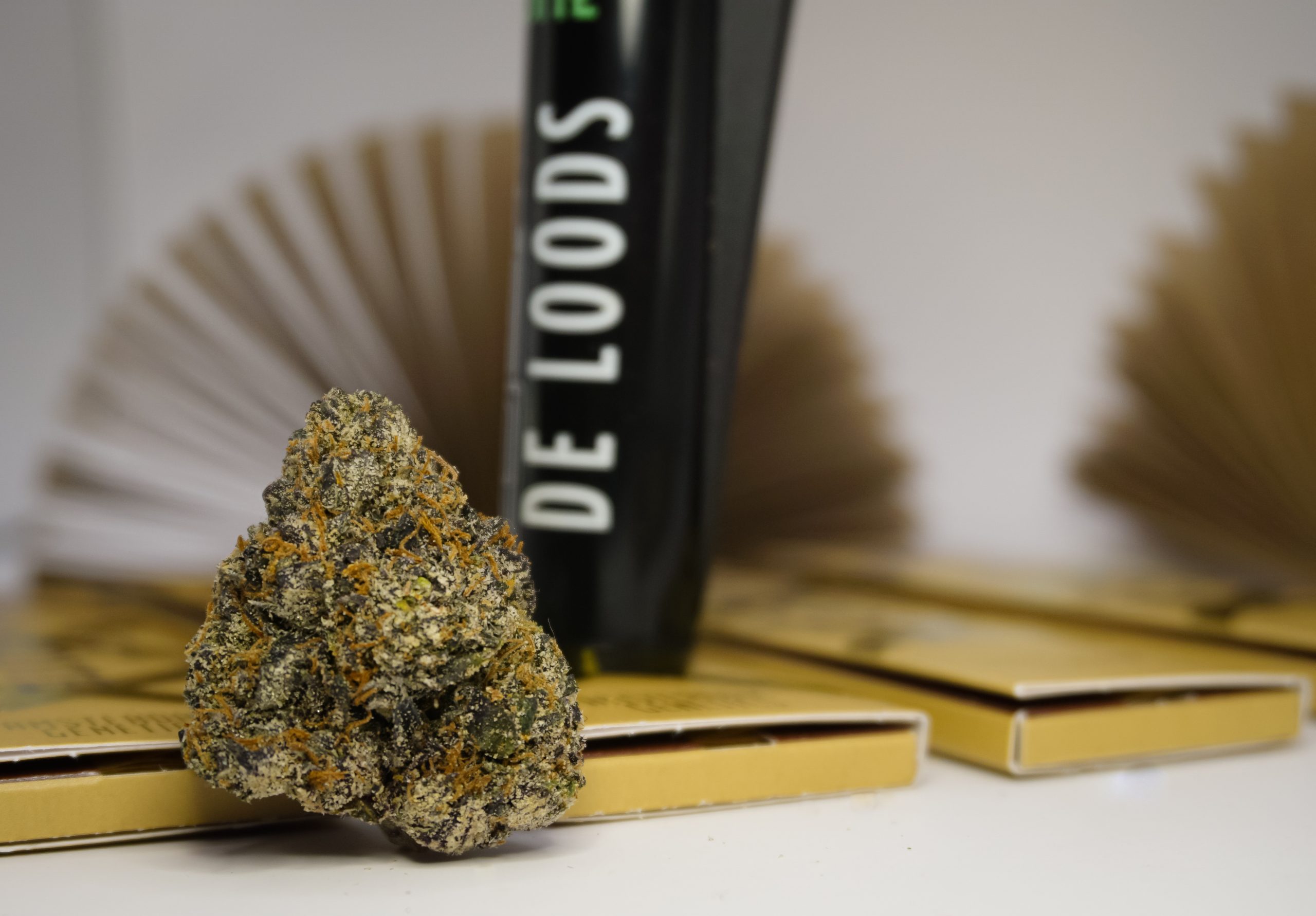 black cherry gelato de loods amersfoort the high cloud strain review