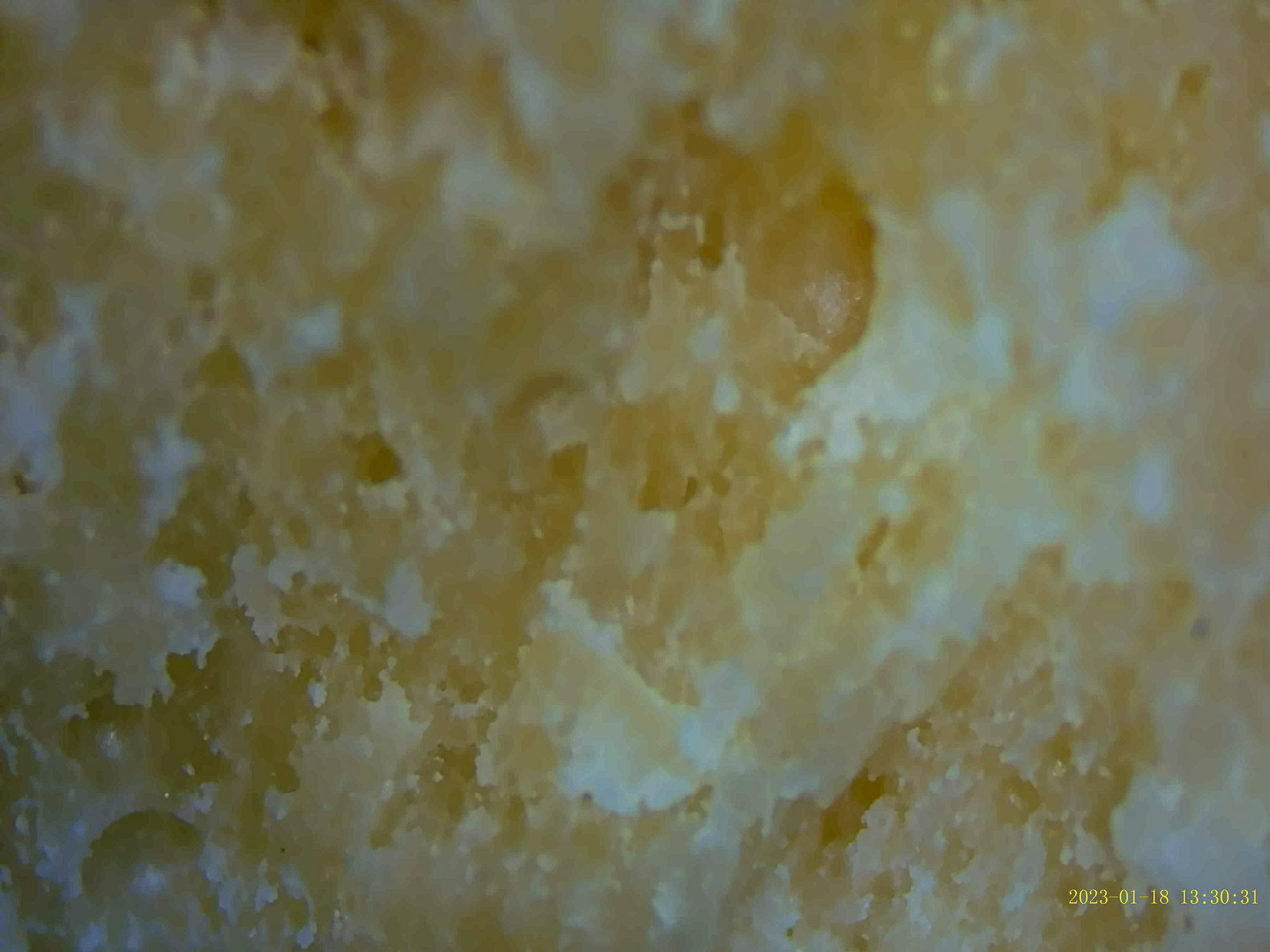 microscope dankoscope close up 707 ChemDawg BHO outdoor nugrun crumble the high cloud strain review