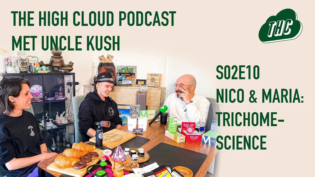 thc podcast s02e10 trichome science make your own hash rosin